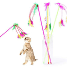 Load image into Gallery viewer, Pet cat Interactive toy Cute Design Bell and bird