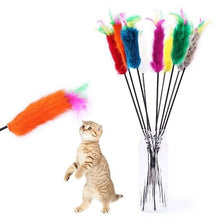 Load image into Gallery viewer, Pet cat Interactive toy Cute Design Bell and bird